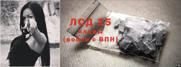ПСИЛОЦИБИНОВЫЕ ГРИБЫ Михайловка