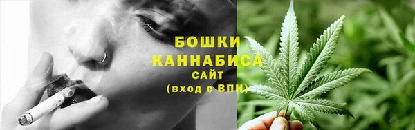 ПСИЛОЦИБИНОВЫЕ ГРИБЫ Михайловка