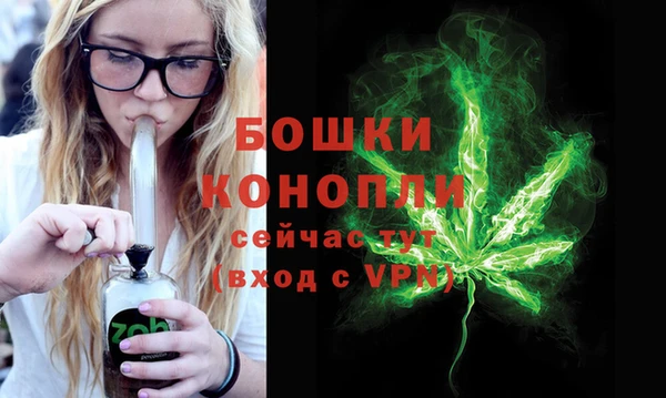 ПСИЛОЦИБИНОВЫЕ ГРИБЫ Михайловка