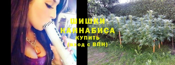 ПСИЛОЦИБИНОВЫЕ ГРИБЫ Михайловка