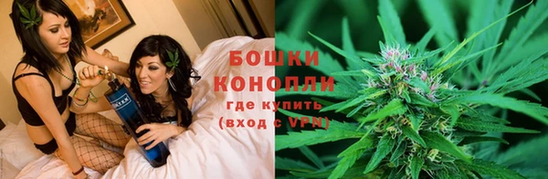 ПСИЛОЦИБИНОВЫЕ ГРИБЫ Михайловка