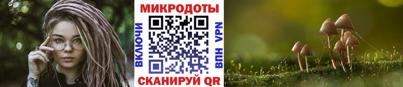 купить наркотики сайты Чистополь Галлюциногенные грибы Psilocybine cubensis