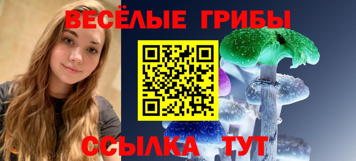Галлюциногенные грибы MAGIC MUSHROOMS  Псилоцибиновые грибы ЛСД  Чистополь  закладки  Вход с VPN 